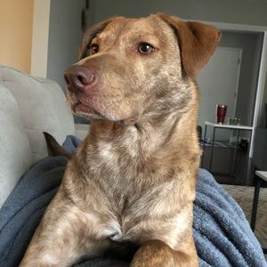 Meet your Posher, James